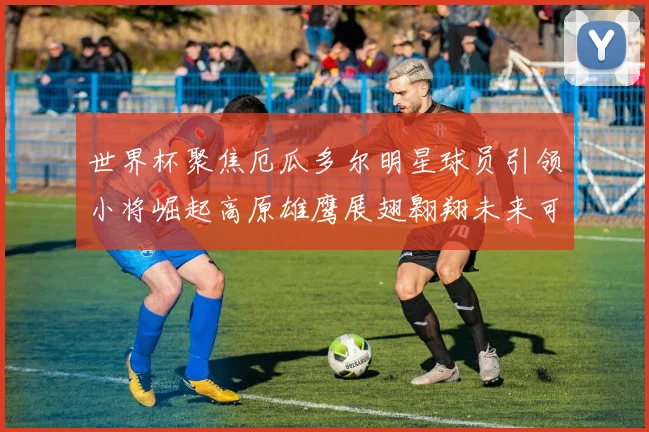 世界杯聚焦厄瓜多尔明星球员引领小将崛起高原雄鹰展翅翱翔未来可期